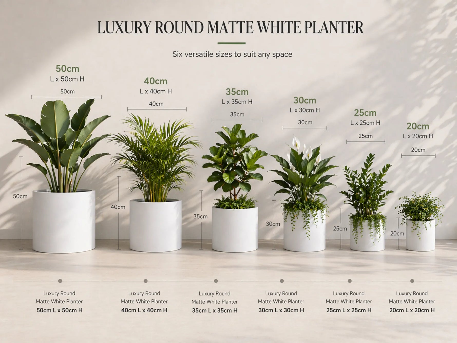 Luxury round matte white planters of different sizes on a wooden surface with measurements.