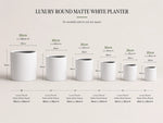 Set of white round planters with dimensions on a light background