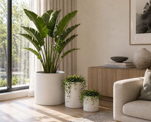 Luxury Round Matt White Planter Set of 6 | Premium Pot Range — gallery image 7