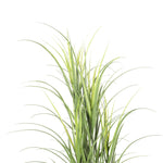 Green grass plant on a white background