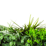 Artificial green plants on a white background