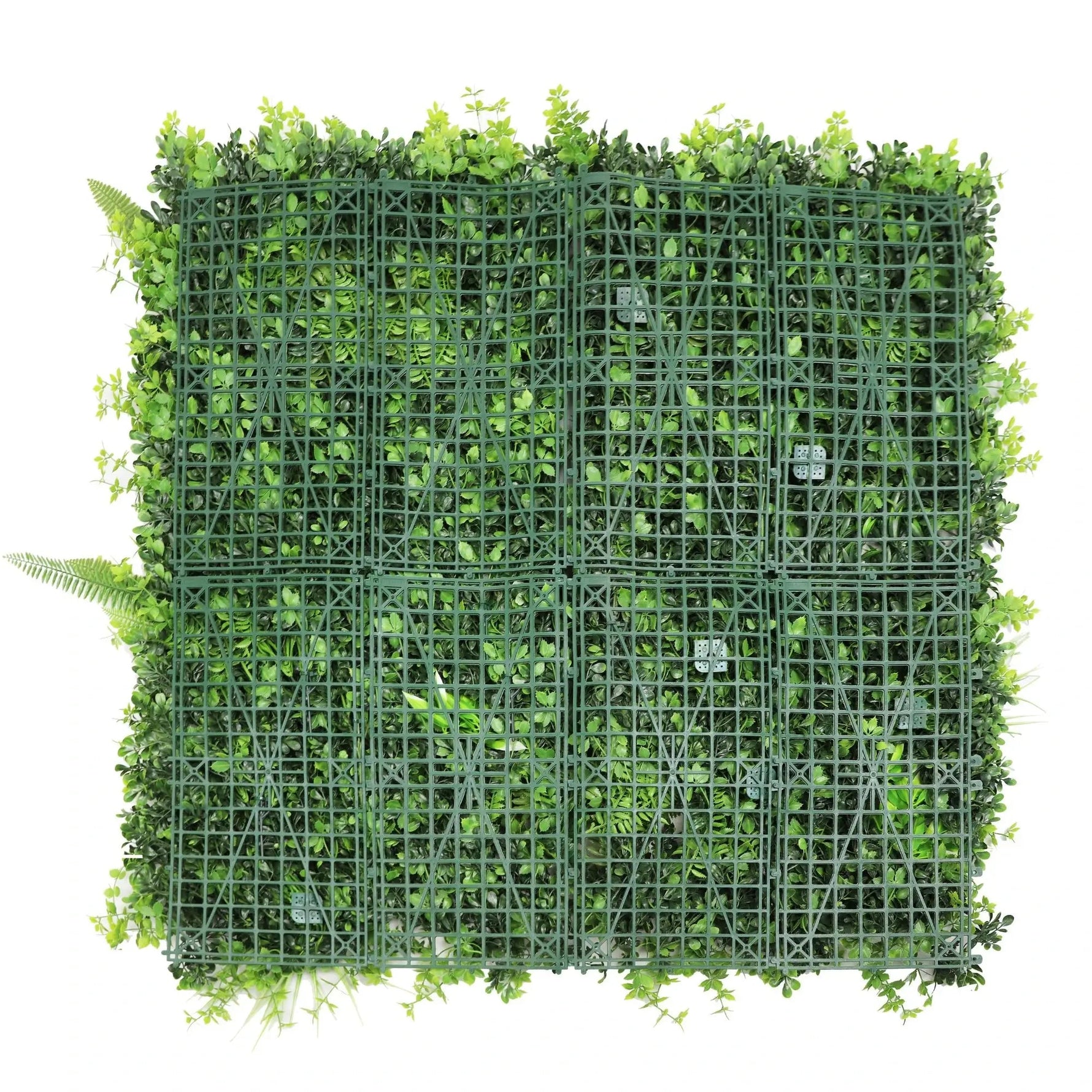Artificial green wall panel with grid structure on a white background