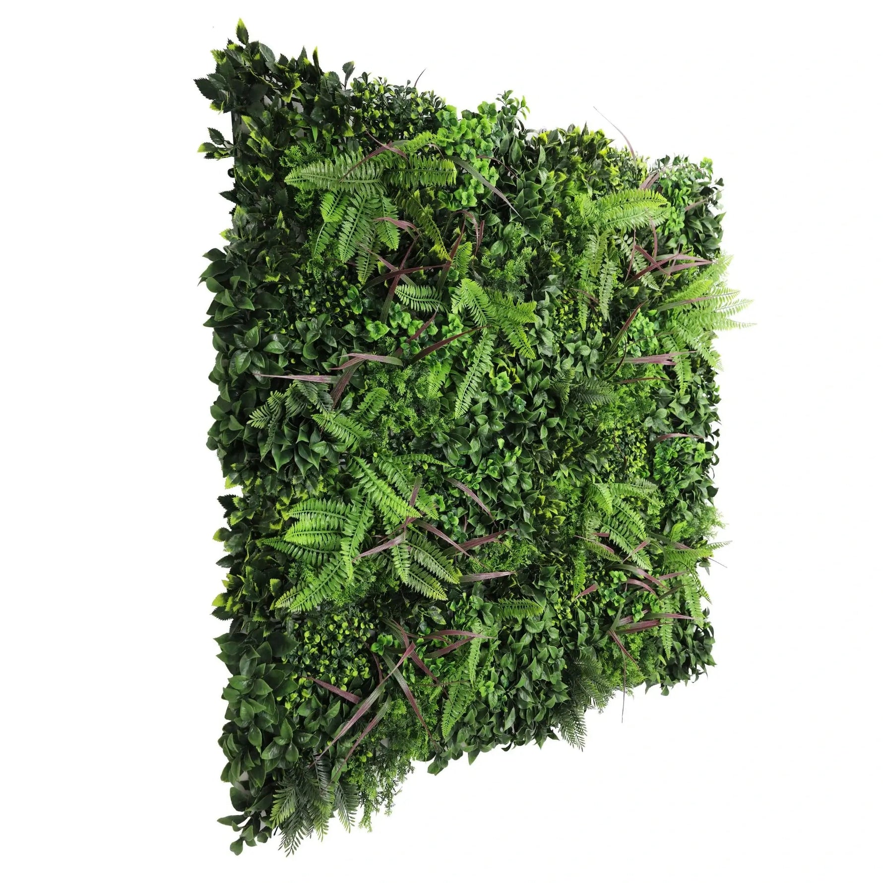 Artificial green wall panel with various green plants on a white background