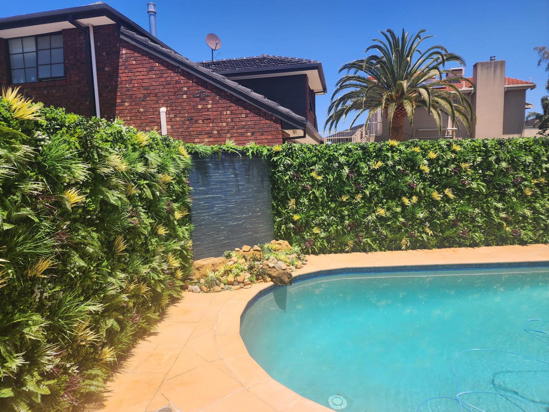 Pool area with hedges, plants, and a house in the background