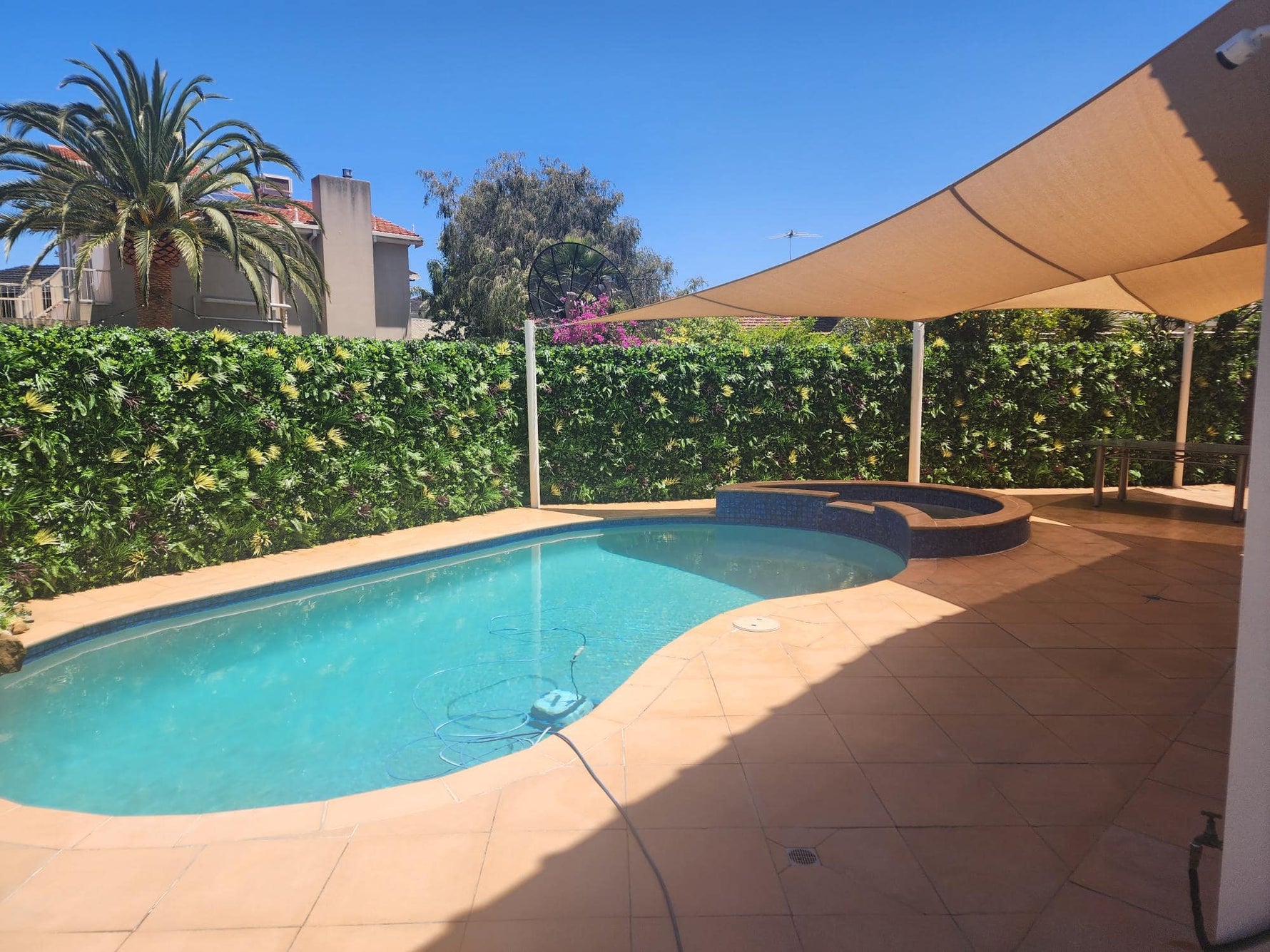 Pool area with a canopy and greenery under a clear blue sky