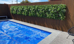 Rectangular pool with a wooden fence and greenery in the background
