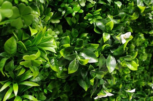 Luxury White Lily Vertical Garden Green Wall Panel 1m x 1m – SGS UV Resistant - Designer Vertical Gardens artificial garden wall plants artificial green wall australia