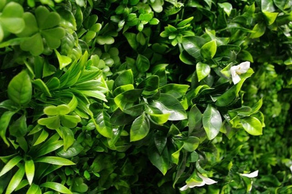 Luxury White Lily Vertical Garden Green Wall Panel 1m x 1m – SGS UV Resistant - image 32