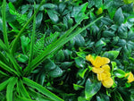 Luxury Yellow Rose Vertical Garden Green Wall Panel 1m x 1m – SGS UV Resistant - Designer Vertical Gardens artificial green wall sydney artificial green walls for backdrops