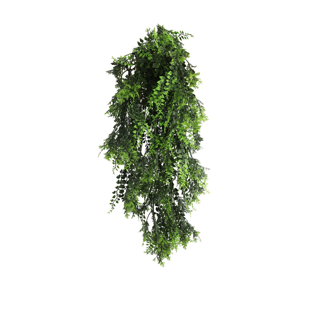 Mediterranean Fern Trailing Vine – UV & Fire Rated (22cm x 76cm) — gallery image