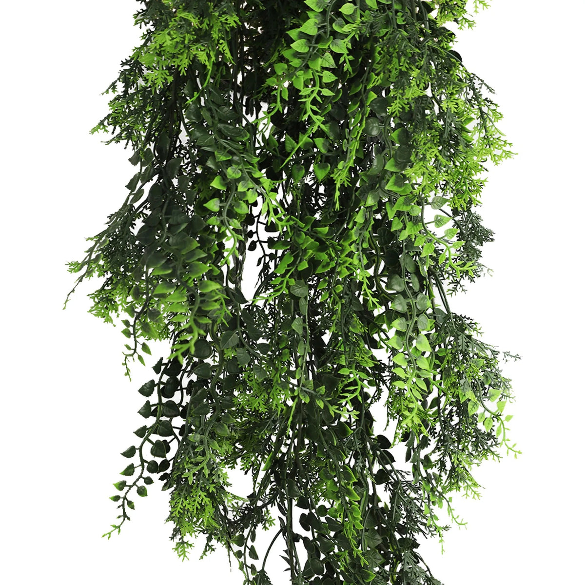 Mediterranean Fern Trailing Vine – UV & Fire Rated (22cm x 76cm) — gallery image