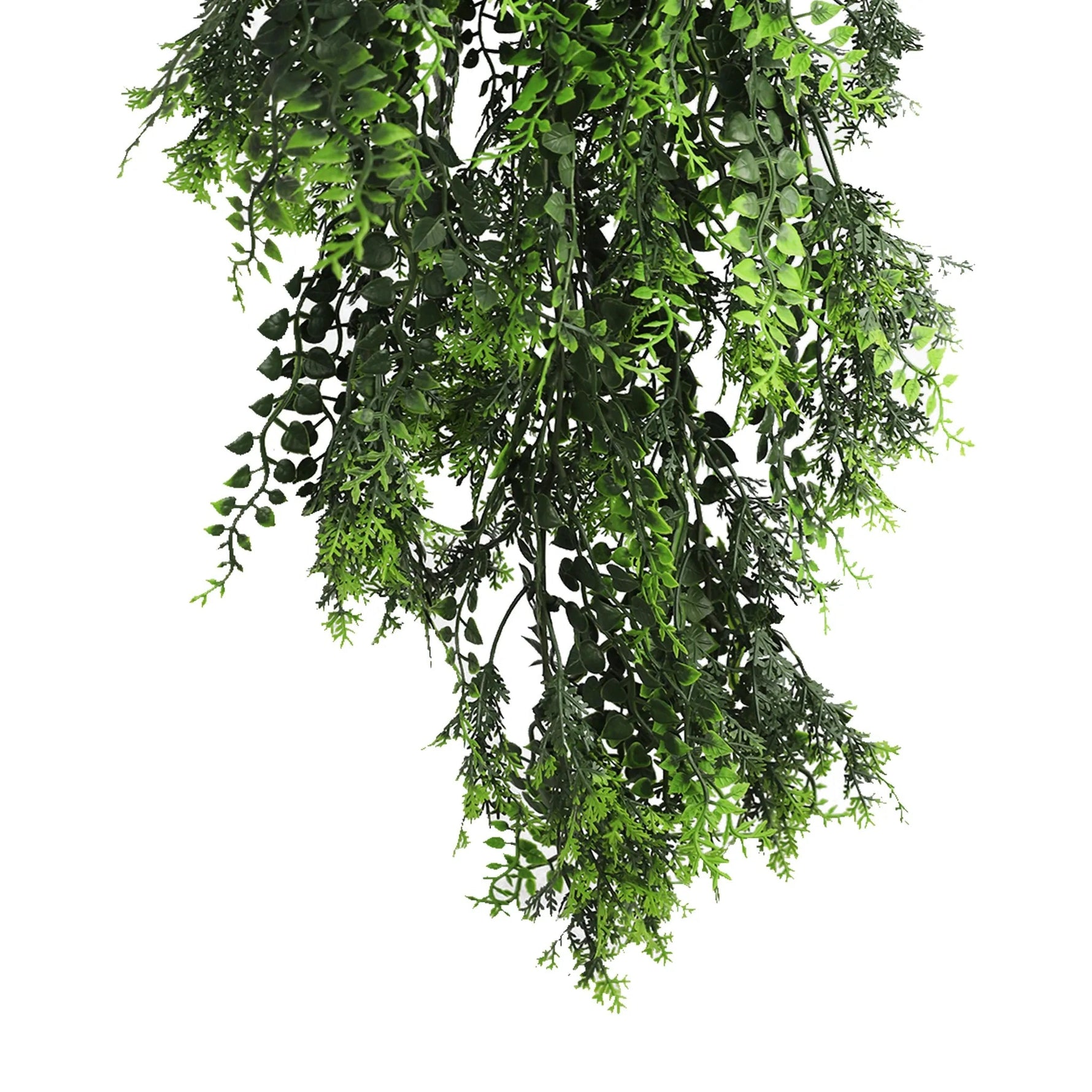 Artificial hanging greenery on a white background
