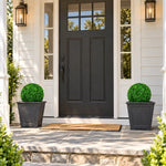 Medium Boxwood Topiary Ball UV Resistant 28cm - Designer Vertical Gardens boxwood Topiary Ball