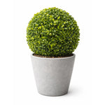 Medium Mixed Boxwood Topiary Ball UV Resistant 28cm - Designer Vertical Gardens artificial topiary artificial topiary ball