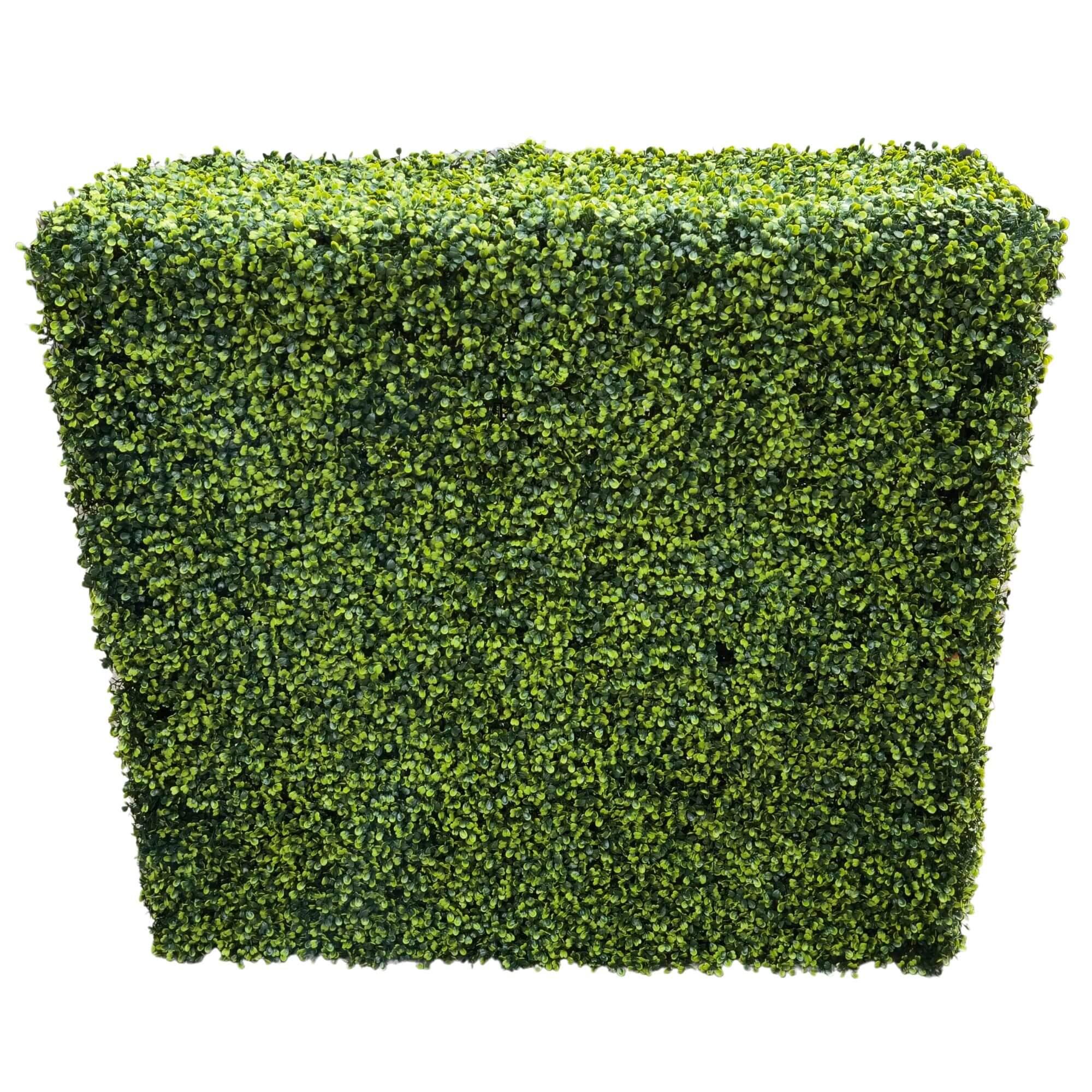Mixed Boxwood Hedge UV Resistant 75cm Long X 75cm High