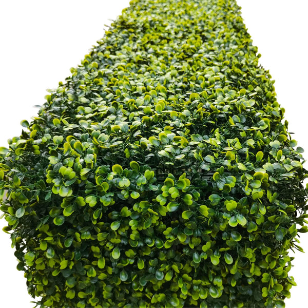 Mixed Boxwood Hedge UV Resistant 75cm Long X 75cm High