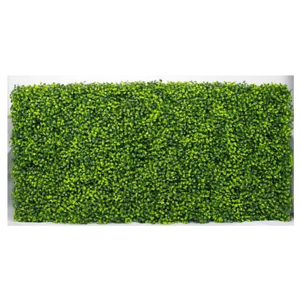 Mixed English Boxwood Portable Hedge 1m x 50cm - UVTEX Certified UV Resistant - image 7