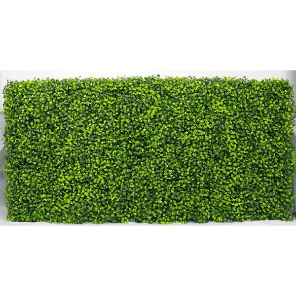 Mixed English Boxwood Portable Hedge 1m x 50cm - UVTEX Certified UV Resistant - image 3