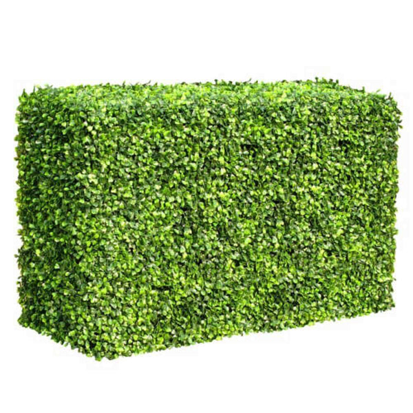 Mixed English Boxwood Portable Hedge 1m x 50cm - UVTEX Certified UV Resistant — detail view