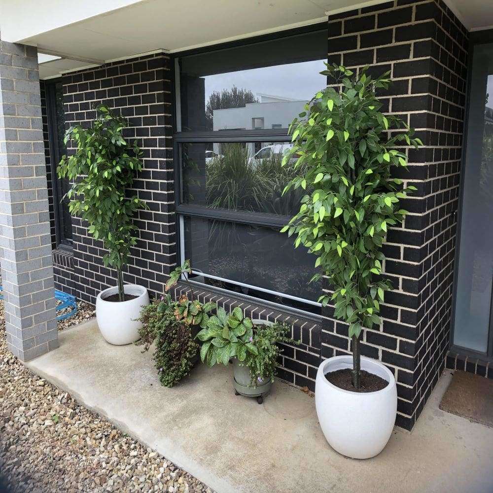 Mixed Green Bushy Artificial Ficus Tree 180cm - Designer Vertical Gardens artificial garden wall plants artificial green wall australia