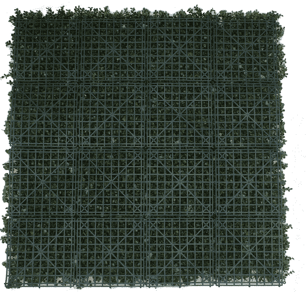 Dark green grid pattern on a white background
