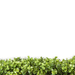 Artificial green grass border on a white background