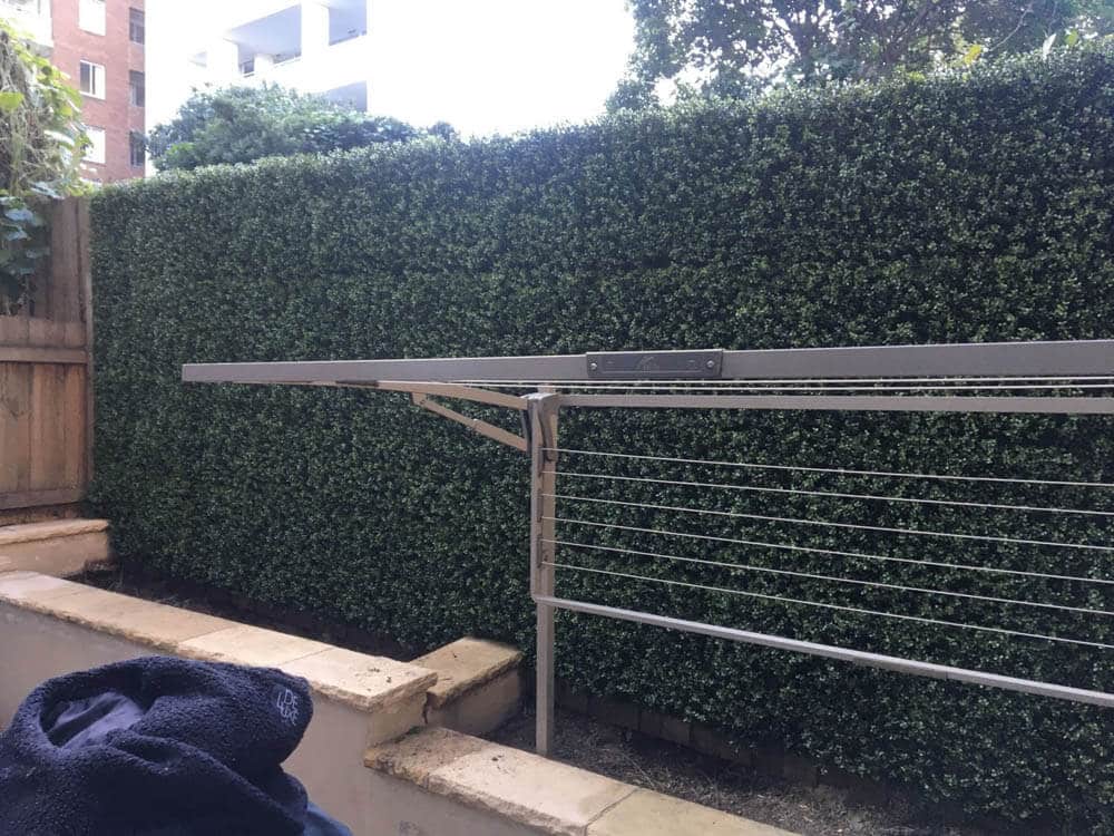 Hedge with a metal railing and building in the background