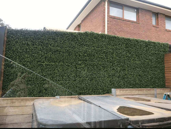 Natural Buxus Artificial Hedge Panel 1m x 1m – SGS UV Resistant — gallery image 16