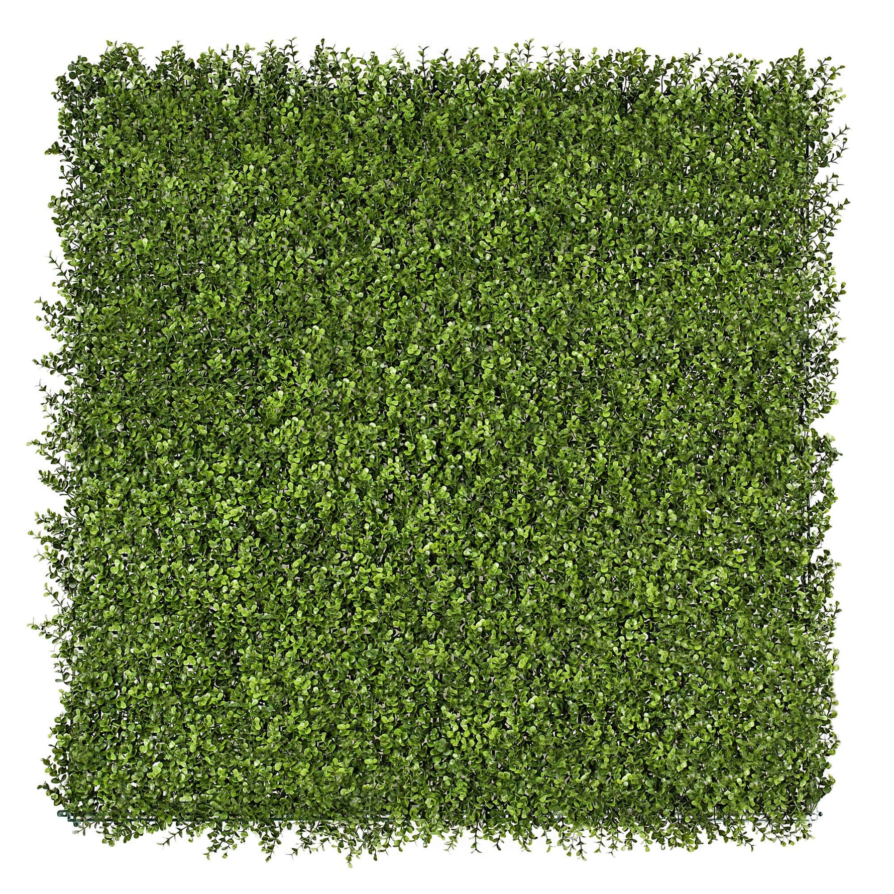Natural Buxus Artificial Hedge Panel 1m x 1m – SGS UV Resistant - Designer Vertical Gardens artificial garden wall plants artificial green wall australia