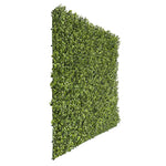 Artificial green wall panel on a white background