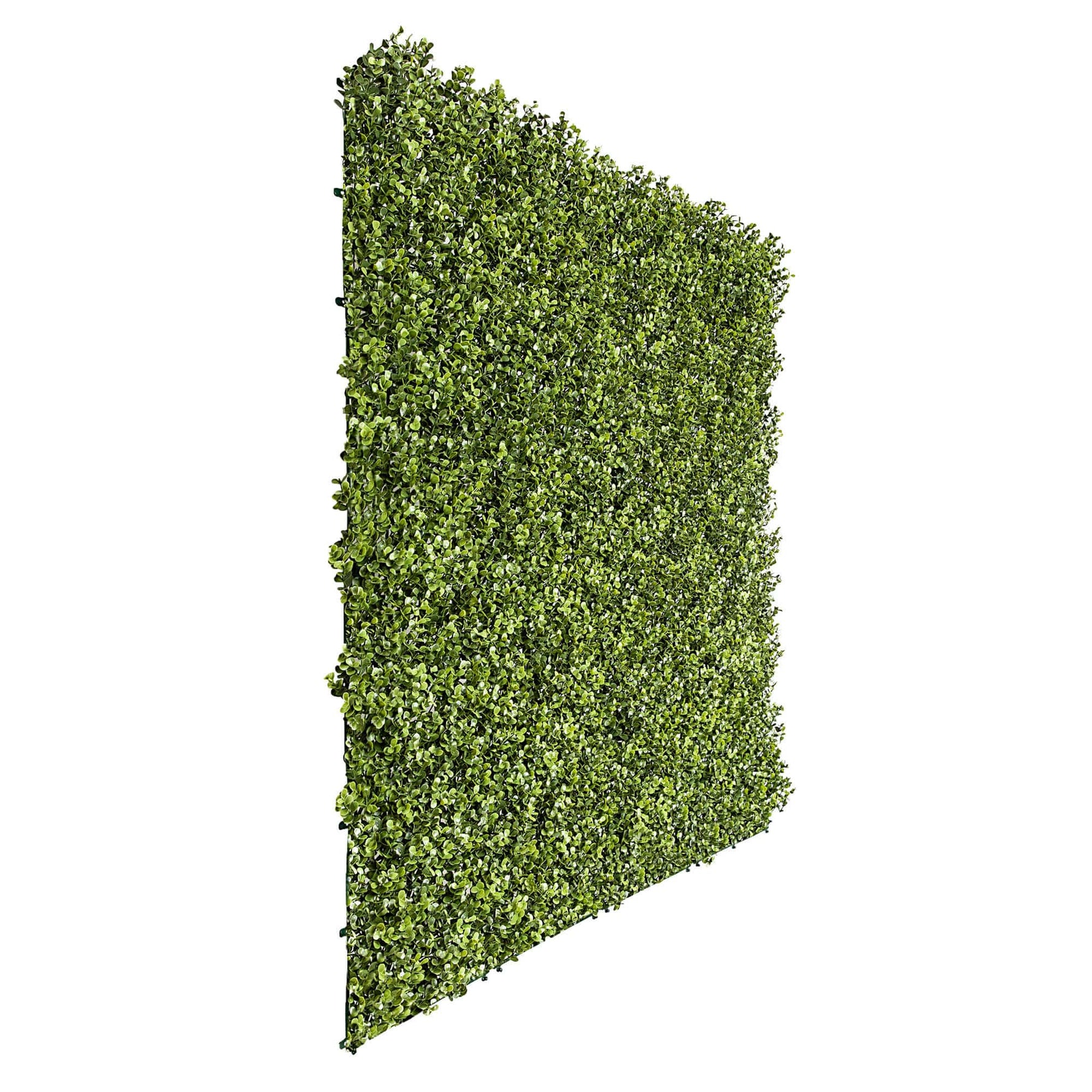 Artificial green wall panel on a white background