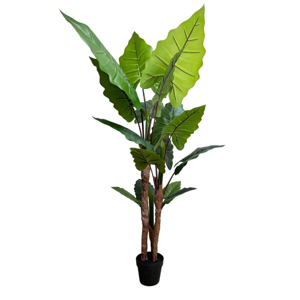 Nearly Natural Artificial 170cm Tall Taro Plant / Giant Elephant Ear Plant - image 2