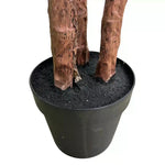 Potted plant with wooden-textured stems on a white background