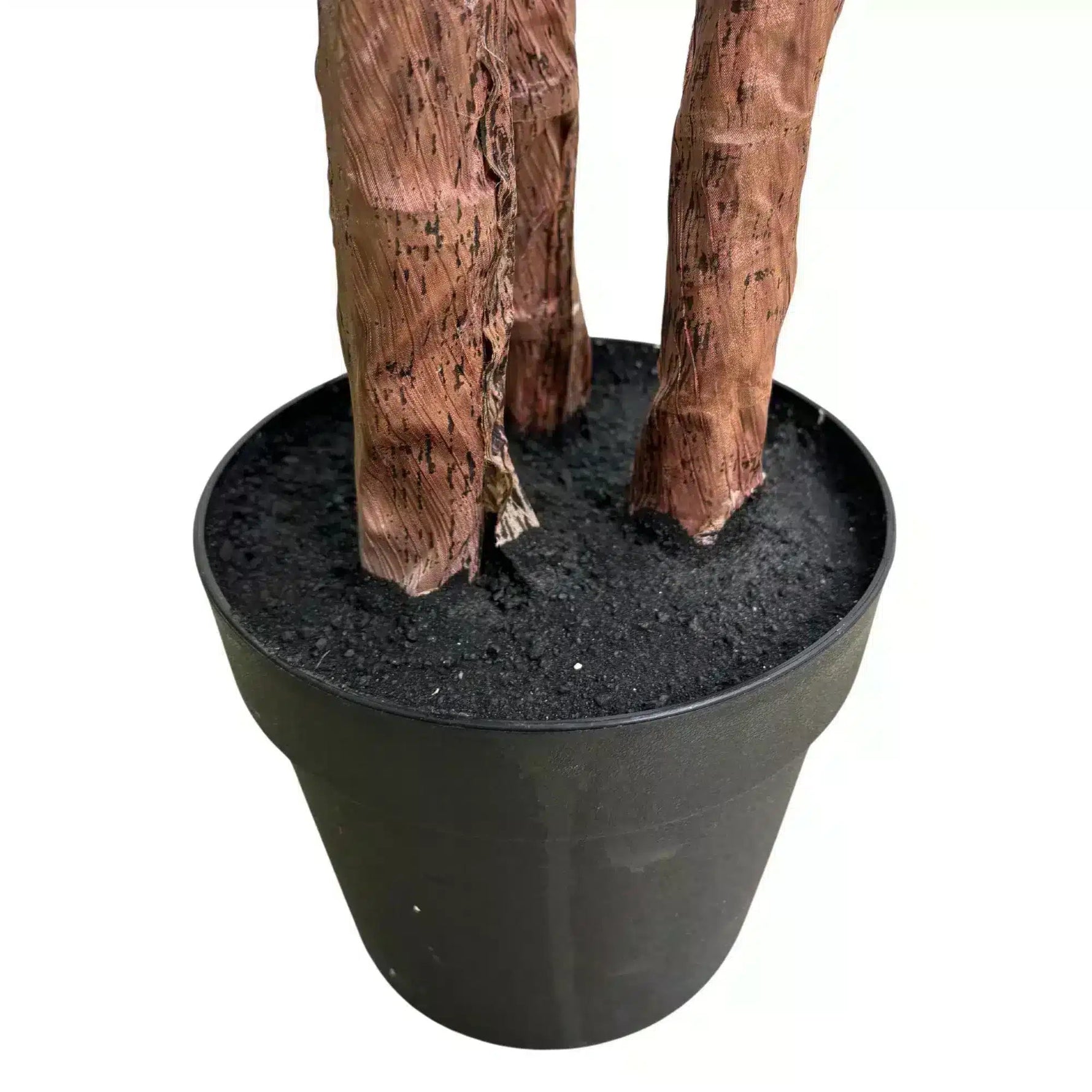 Potted plant with wooden-textured stems on a white background