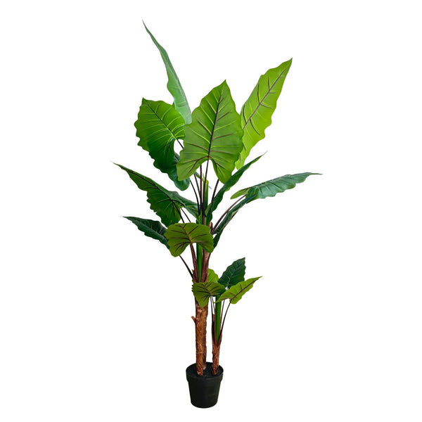 Nearly Natural Artificial 170cm Tall Taro Plant / Giant Elephant Ear Plant — gallery image 7