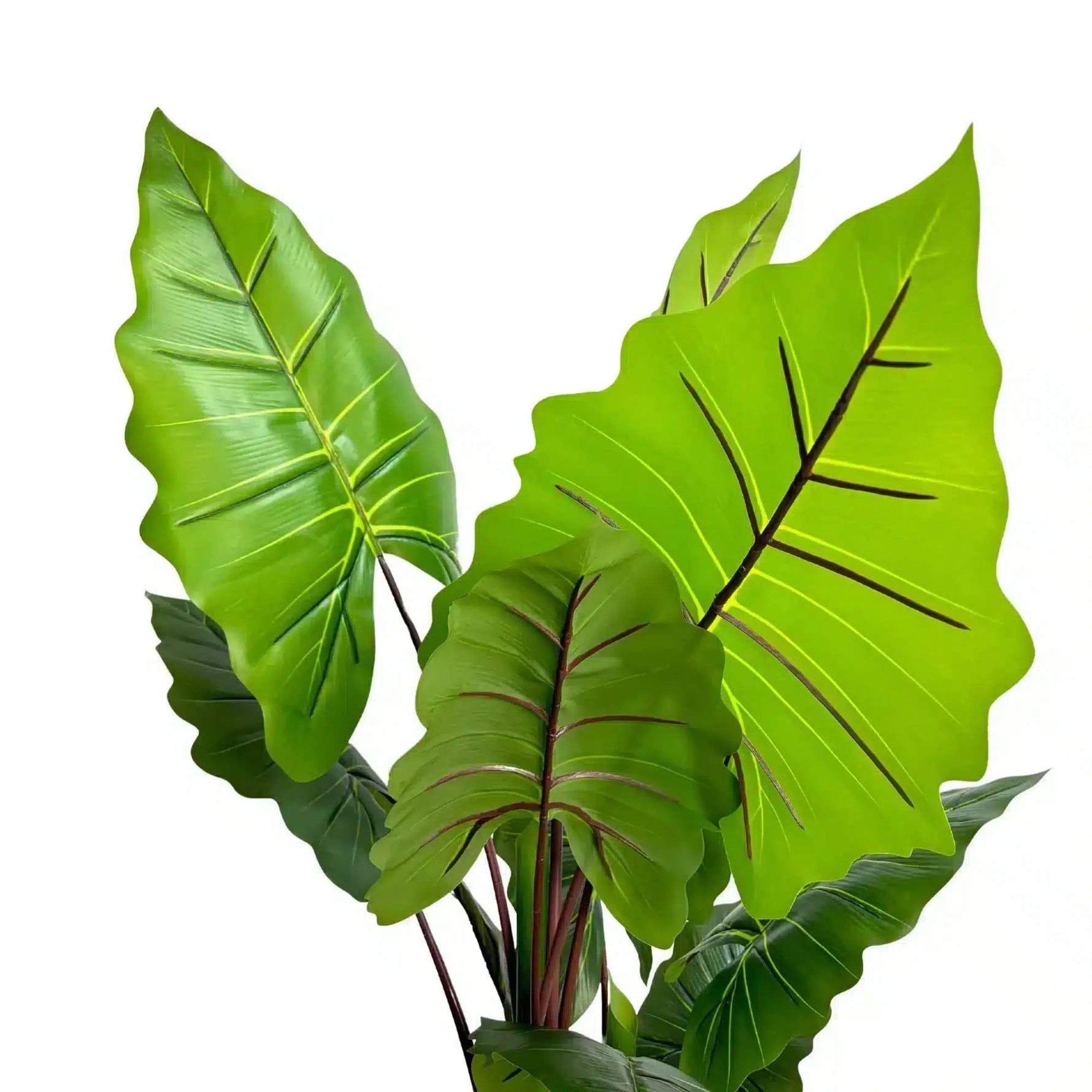 Artificial green leaves on a white background