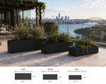 Three black rectangular planters with plants on a rooftop with a cityscape and harbor view.
