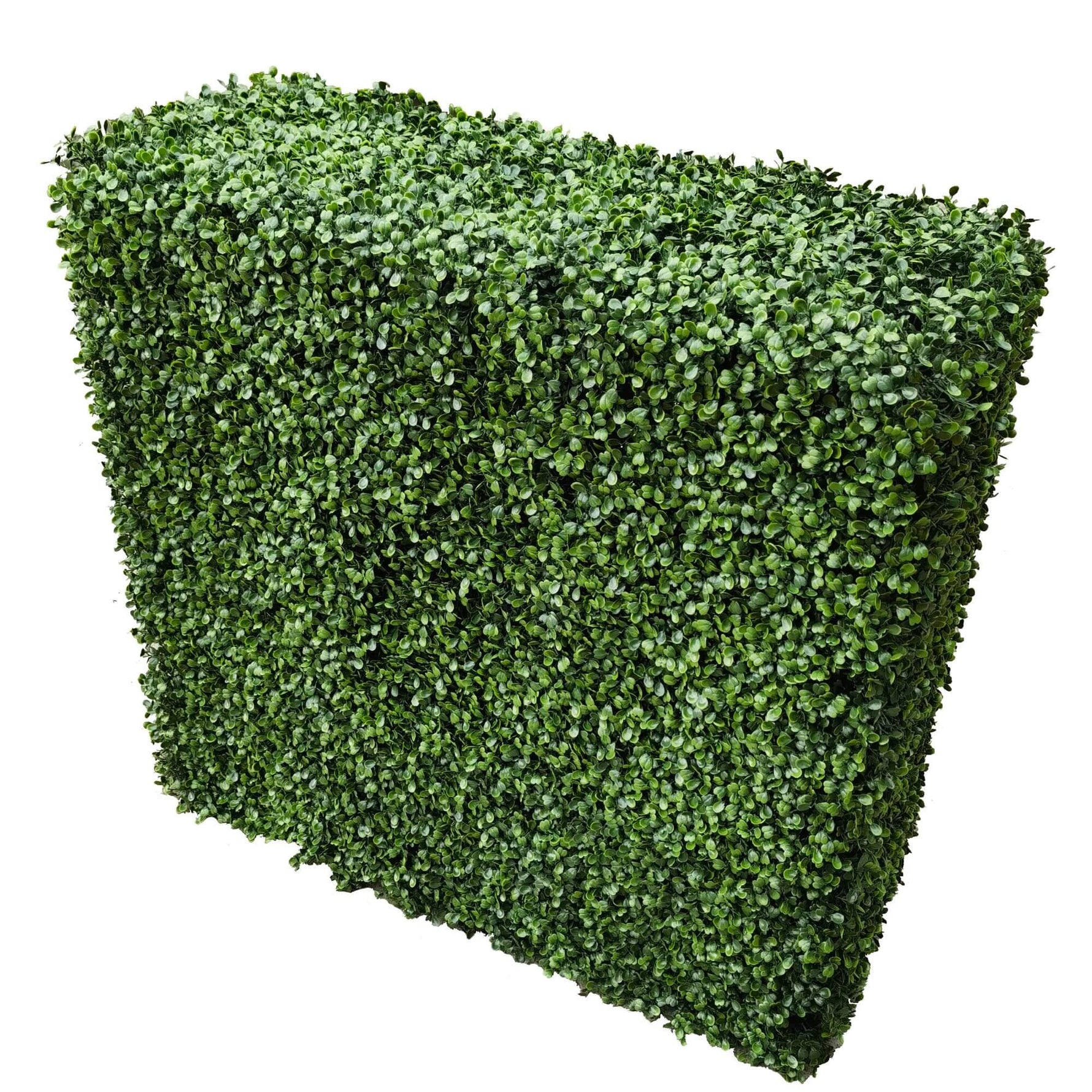 Portable Boxwood Hedge 100cm x 100cm - UVTEX Certified UV Resistant - Designer Vertical Gardens artificial hedge fence panels Artificial hedge panels