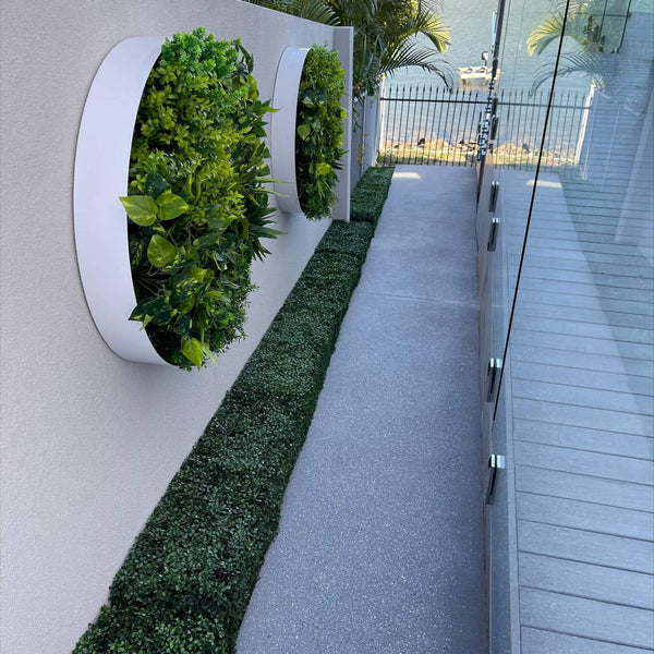 Portable Boxwood Hedge 100cm x 25cm - UVTEX Certified UV Resistant - image 12