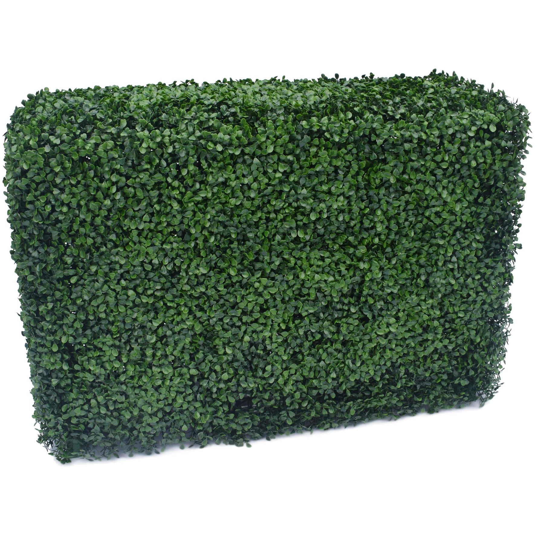 Portable Boxwood Hedge 100cm x 75cm - UVTEX Certified UV Resistant - Designer Vertical Gardens artificial garden wall plants artificial green wall australia