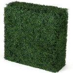 Artificial boxwood hedge cube on a white background