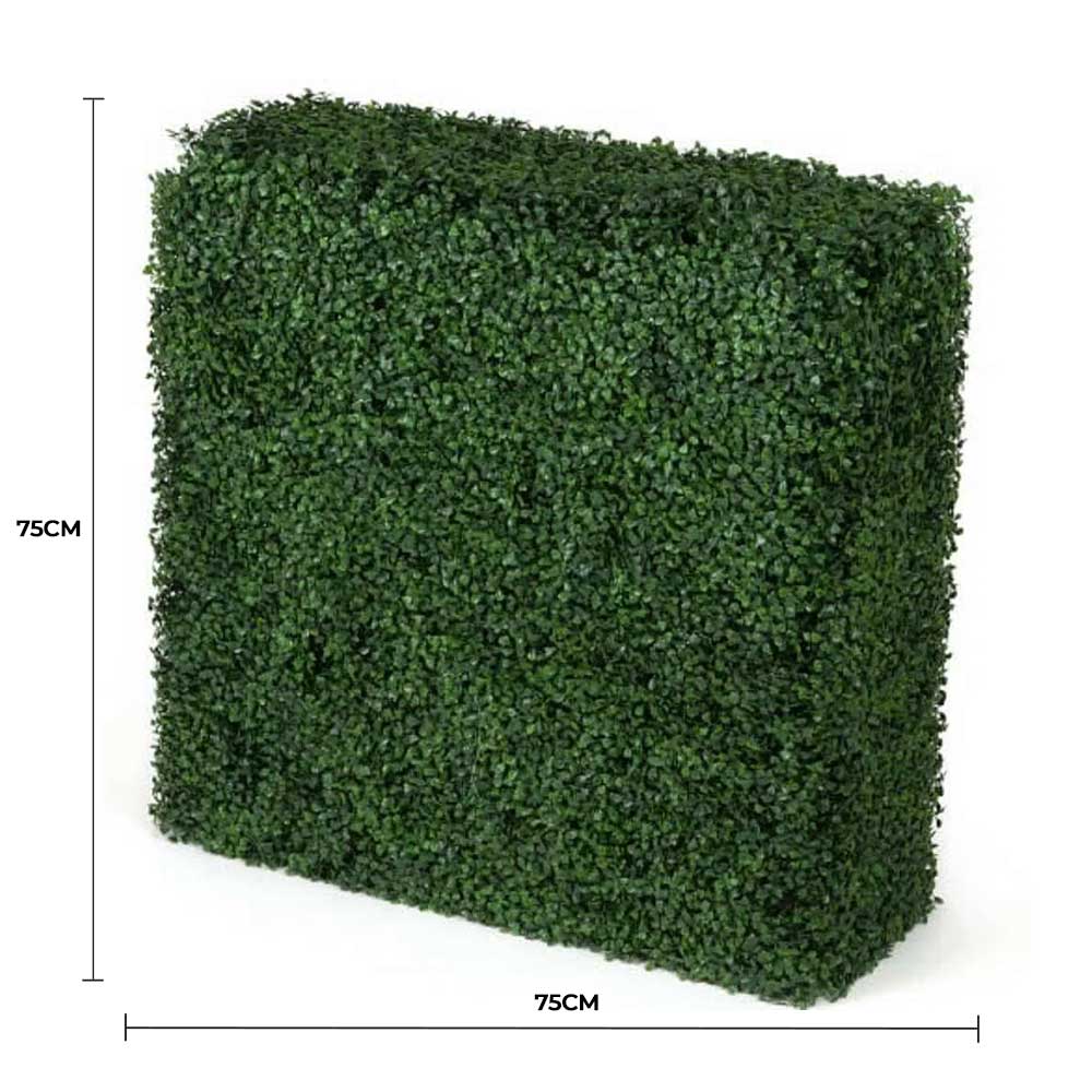 Square artificial bush with dimensions on a white background