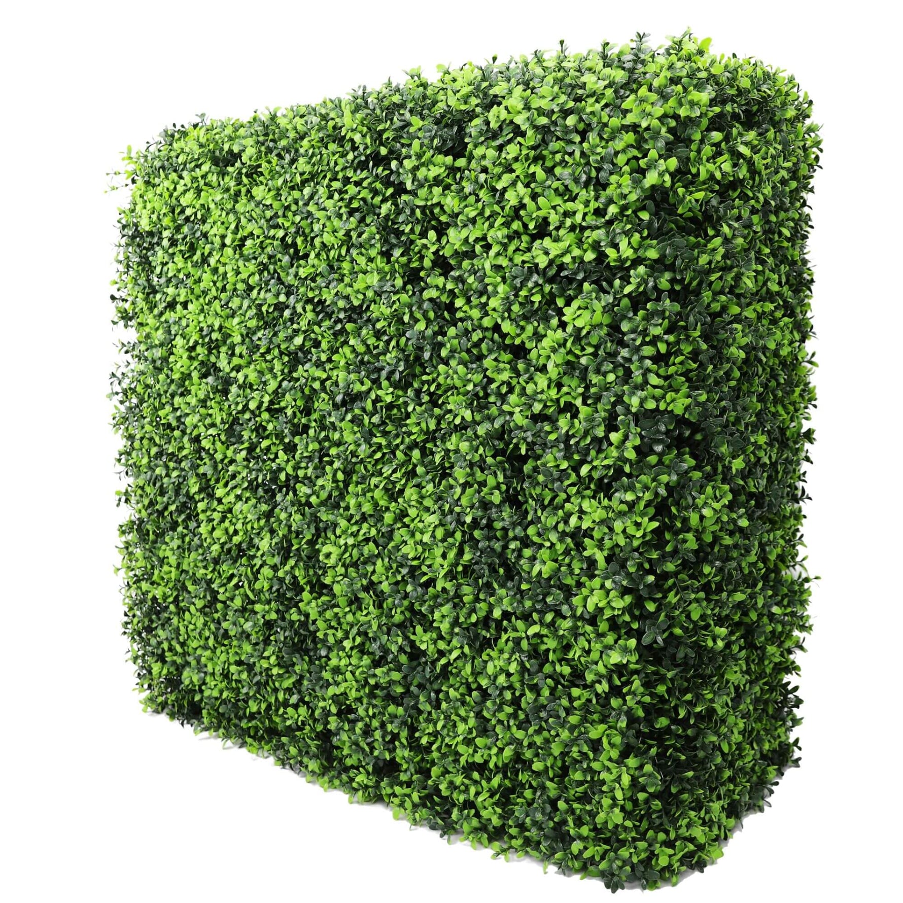 Portable Buxus Hedge 75cm x 75cm - UVTEX Certified UV Resistant - Designer Vertical Gardens artificial garden wall plants artificial green wall australia