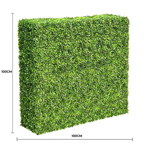 Portable Light Boxwood Hedge 1m x 1m - UVTEX Certified UV Resistant — gallery image 10
