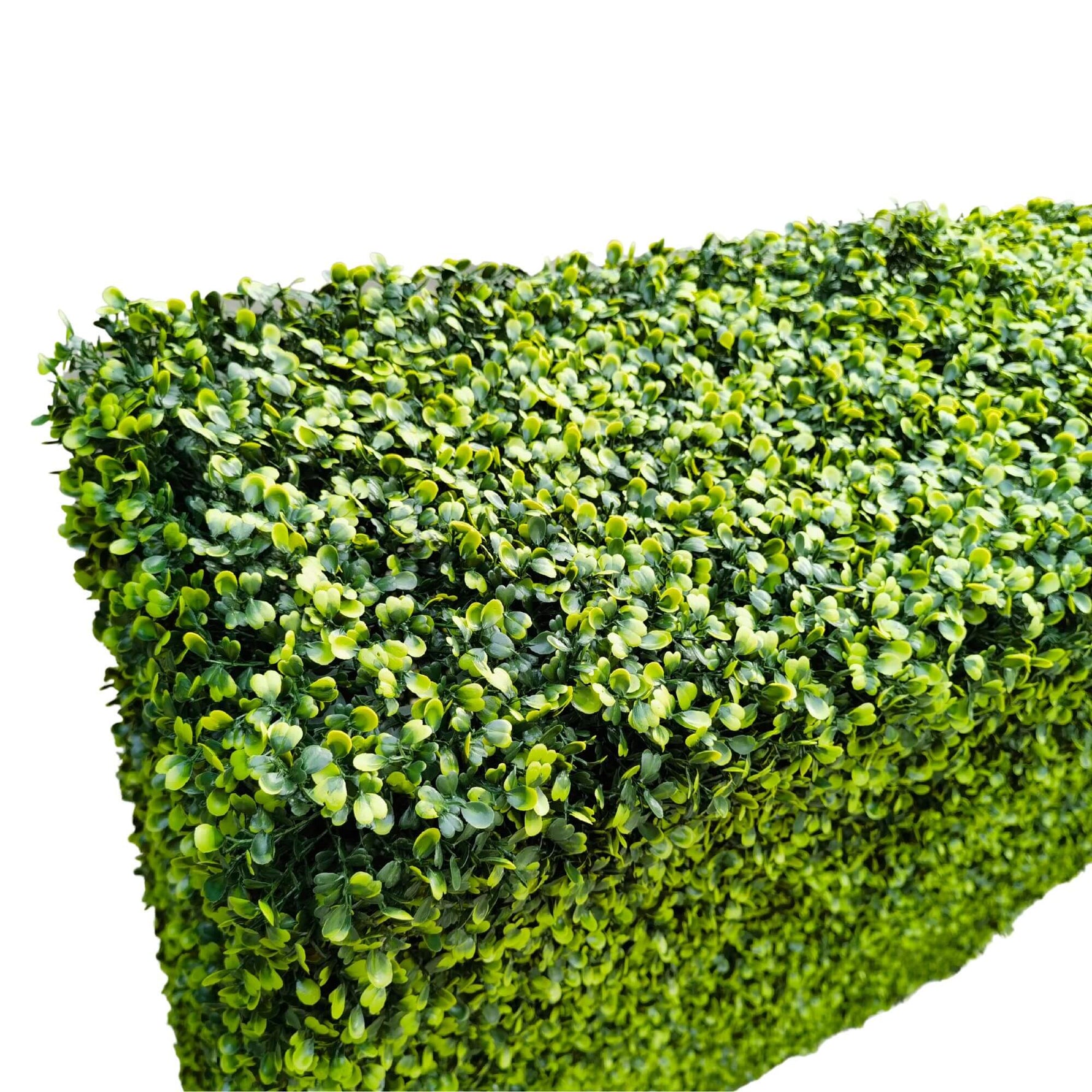 Portable Light Boxwood Hedge 1m x 1m - UVTEX Certified UV Resistant - Designer Vertical Gardens artificial garden wall plants artificial green wall australia