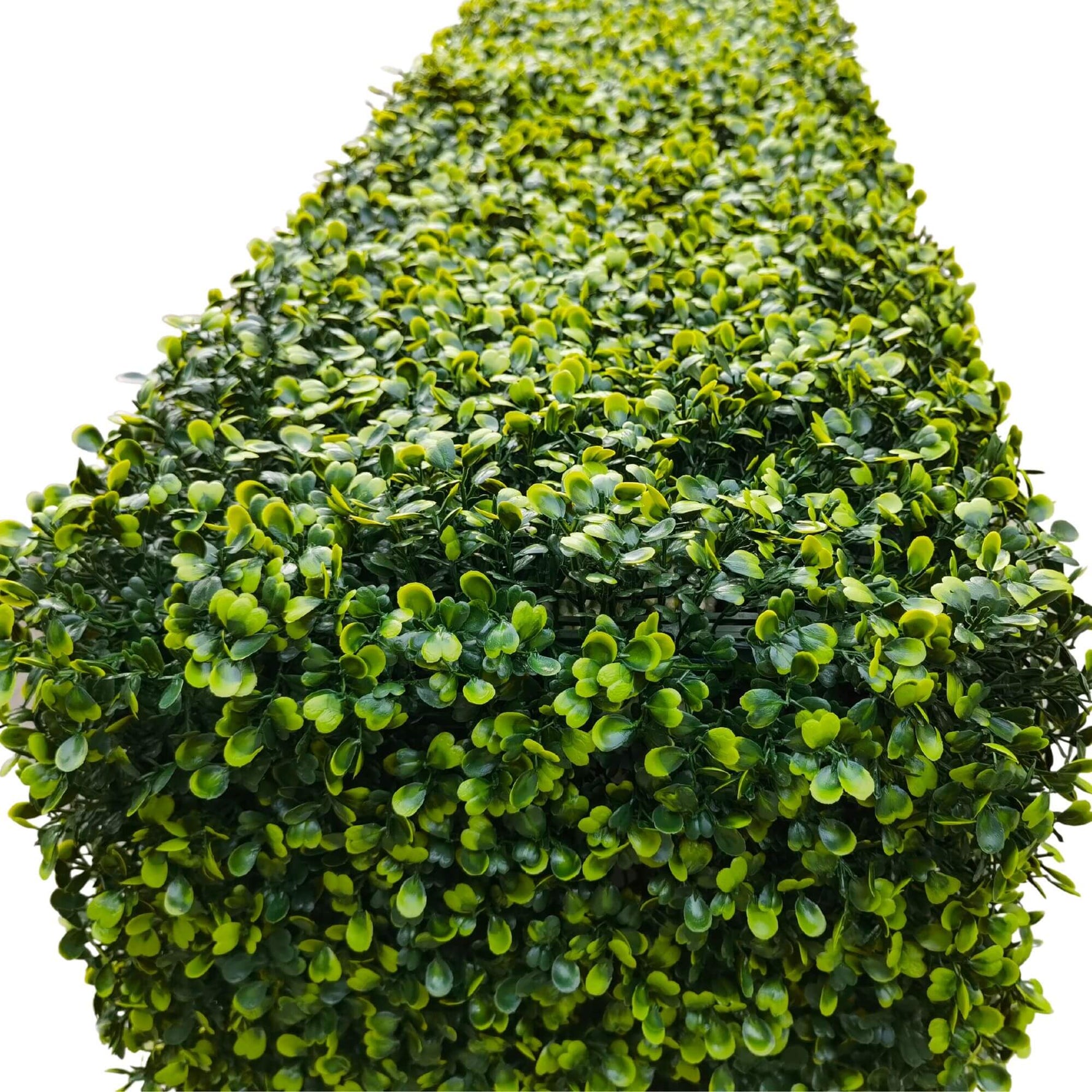 Portable Light Boxwood Hedge 1m x 1m - UVTEX Certified UV Resistant - Designer Vertical Gardens artificial garden wall plants artificial green wall australia