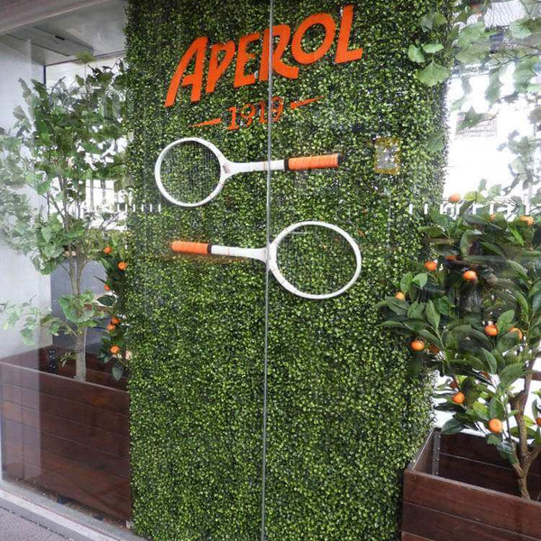 Portable Mixed Boxwood Hedge 2m x 1m - UVTEX Certified UV Resistant - image 14