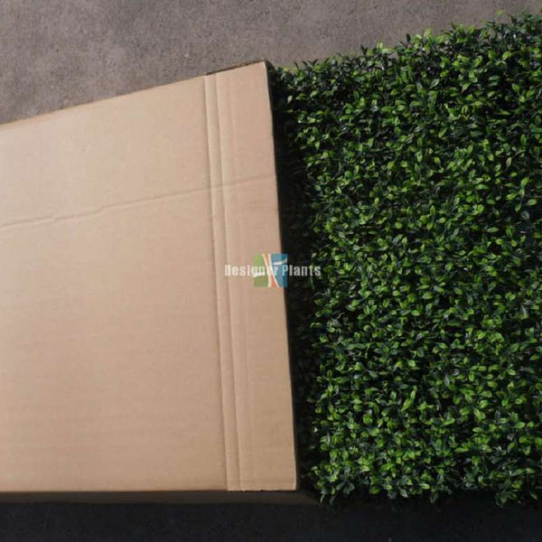 Portable Mixed Boxwood Hedge 2m x 1m - UVTEX Certified UV Resistant - image 10