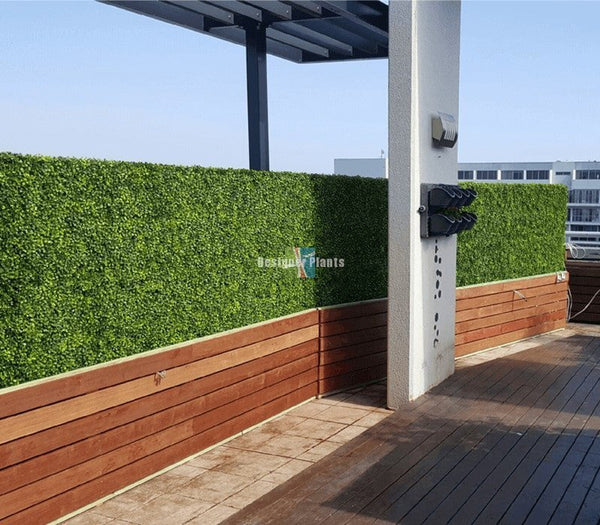 Portable Mixed Boxwood Hedge 2m x 1m - UVTEX Certified UV Resistant — gallery image 12