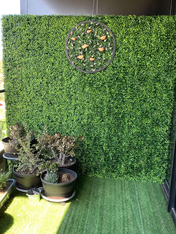 Portable Mixed Boxwood Hedge 2m x 1m - UVTEX Certified UV Resistant — gallery image 19